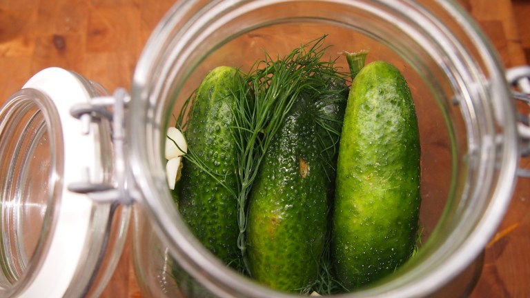 avomaankurkku, maustekurkku, kurkun säilöntä