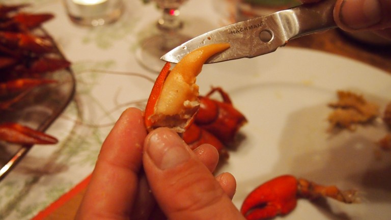 rapujuhlat, rapu, rapuveitsi, hackmann