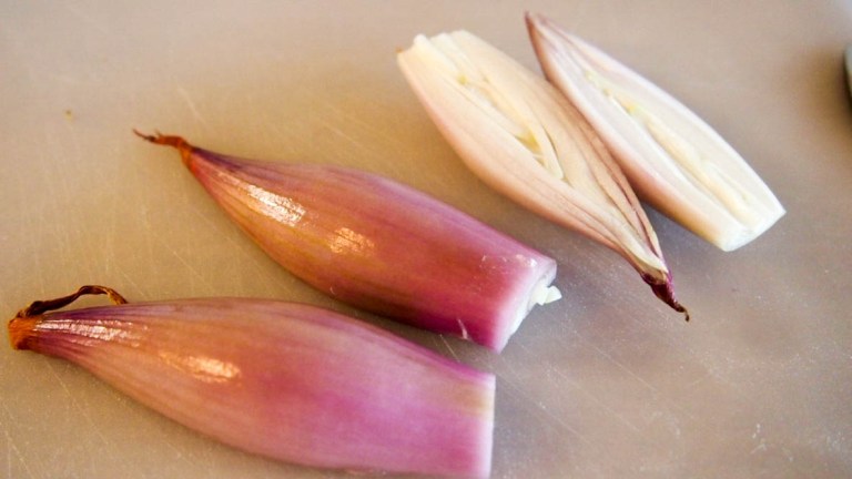 thumb_P5086893_1024-2